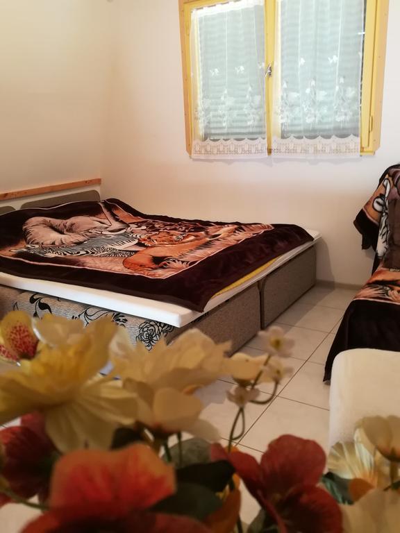 Tiszavirag Nyaralohaz Villa Szeged Eksteriør billede
